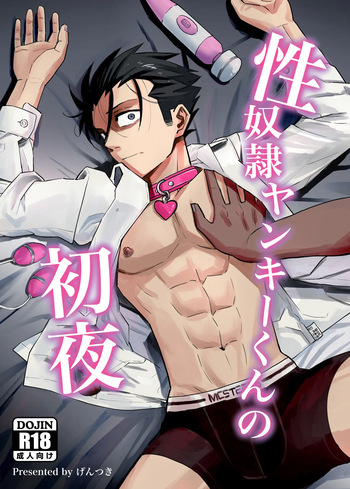 [Nidankai Sasetsu (Gennchari)] sei yakko ○ yankī kun no shoya [Digital] cover