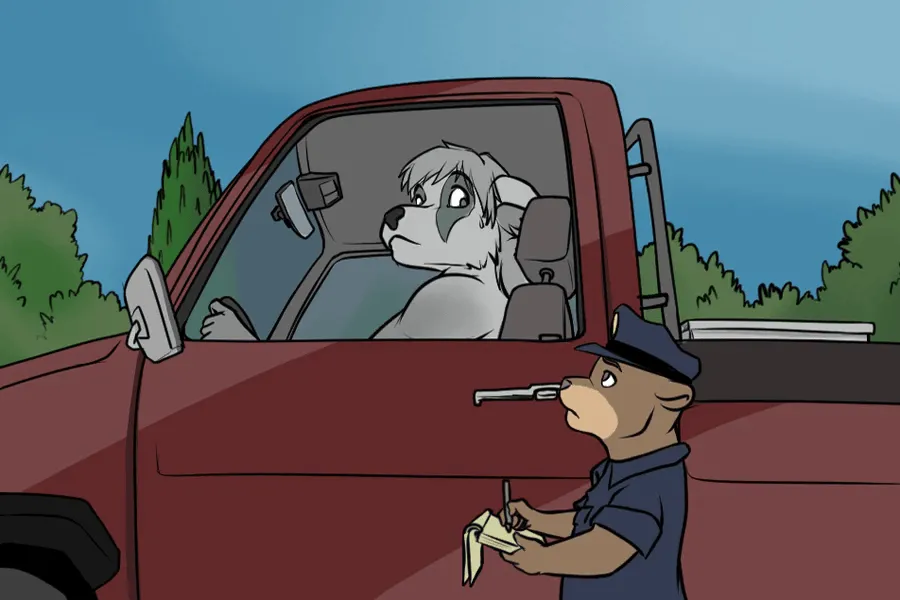 Pulled Over & Stream Cam page 2 full
