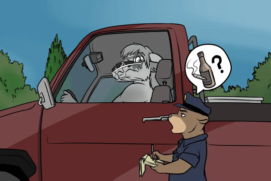 Pulled Over & Stream Cam page 3 full