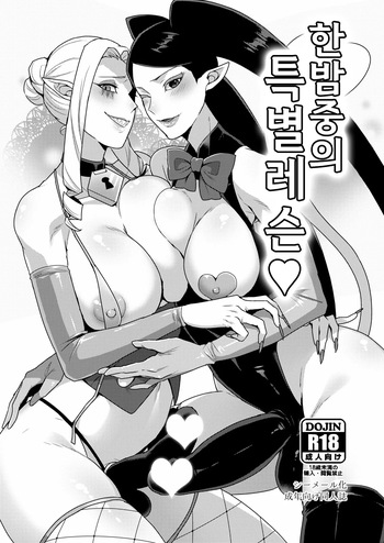 [Granada no Sora (Mogiki Hayami)] Mayonaka no Tokubetsu Lesson (Go! Princess PreCure) / 한밤중의 특별레슨 (Go! Princess PreCure) [Digital] [Korean] cover