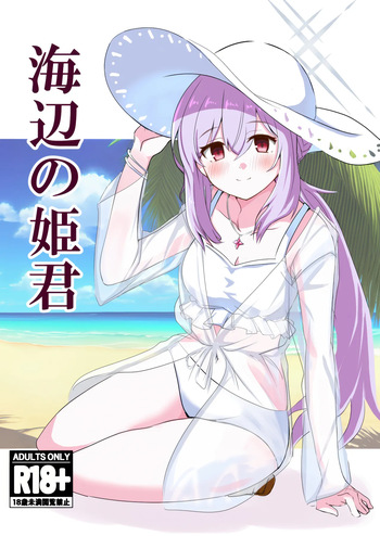 (C104) [CROSSTAR (GX)] Umibe no Himegimi (Blue Archive) cover