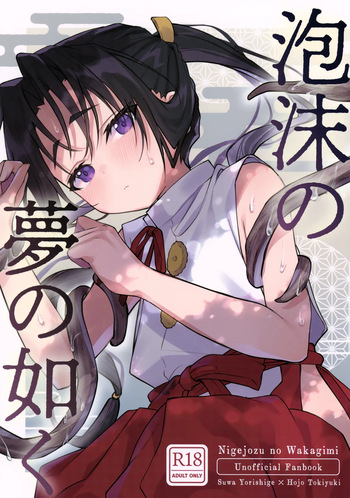 (C105) [Rock Salt (Ganen)] Utakata no Yume no Gotoku (Nige Jouzu no Wakagimi) cover