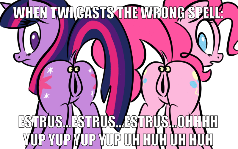 Horsepussy Mare Vulvar Winking page 11 full