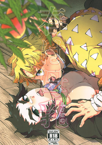 (Nichirin Kitan 6) [Mekao (Den Meka)] Haru wa Bonyuu (Kimetsu no Yaiba) [English] {Chin²} cover