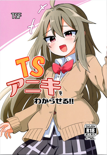 (C105) [Saneyarou] Making TS Aniki understand cover