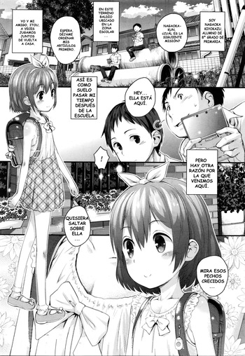 [Kokekokko Coma] Gekou JS no Shikumi to Hannou no Kiroku (COMIC LO 2016-02) [Spanish] [Tratante] cover