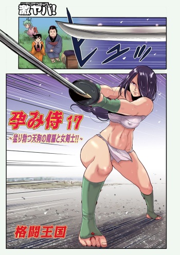 [Kakutou Oukoku] Harami samurai 17 cover