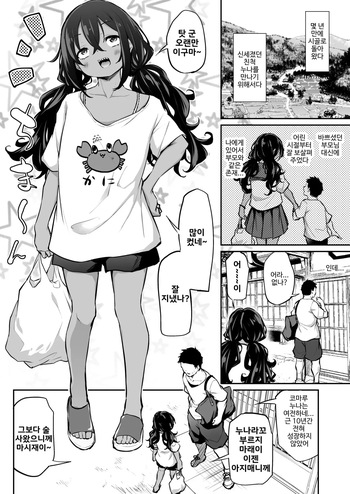 [Airandou] Sunen-buri ni Saikai Shita Shinseki no Onesan ga Nani mo Seicho Shite Nakatta Ken [korean] cover