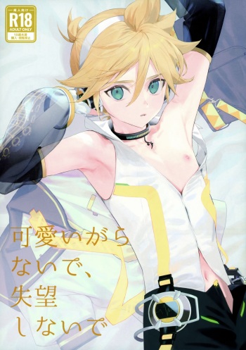 (C104) [naonocoto (Naoko)] Kawaii Garanaide, Shitsubou Shinaide (VOCALOID) cover