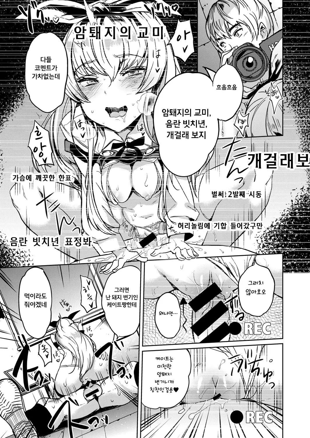 matsushima kate no haishin page 11 full