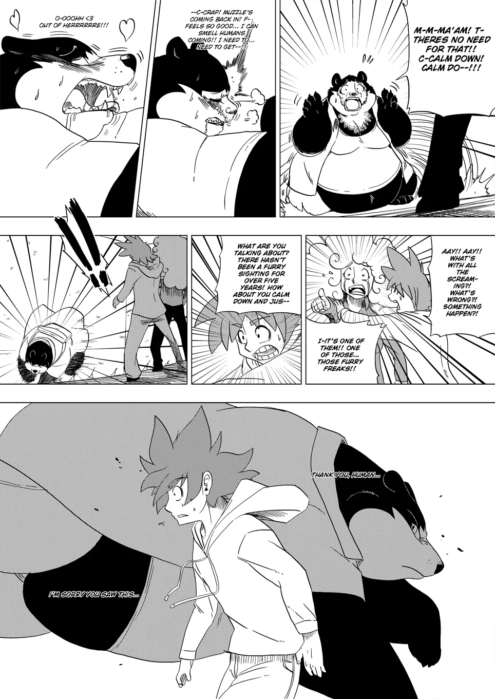 Land Of Affinity page 12 full