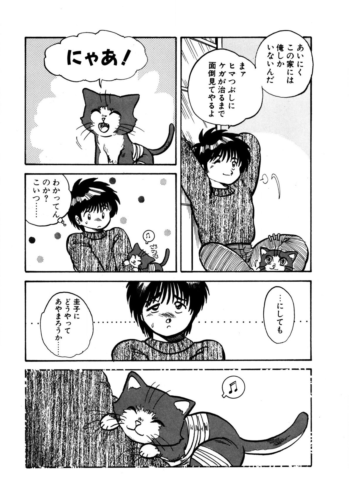 A Stray Cat on the Street page 12 full