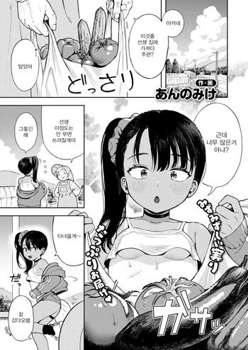 [Annomike] Sewayaki Mesugaki Obaa-chan (COMIC Kaien VOL.16) [Korean] cover