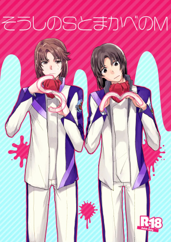 [Sputnik (Nashi no Cola)] そうしのSとまかべのM (Soukyuu no Fafner) [Digital] cover