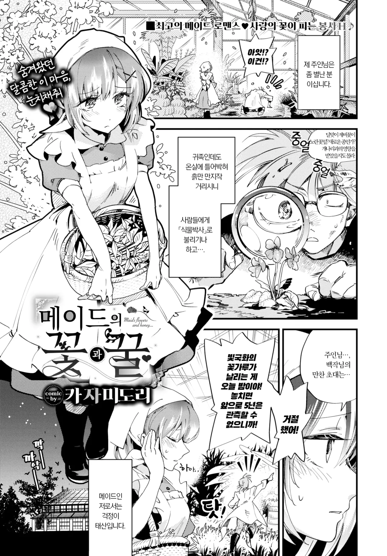 Maid no Hana to Mitsu | 메이드의 꽃과 꿀 page 1 full