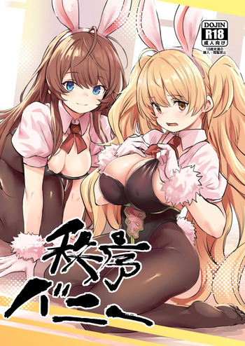 (C105) [Ikkizuka (Kizuka Kazuki)] Chitsujo Bunny (Granblue Fantasy) cover