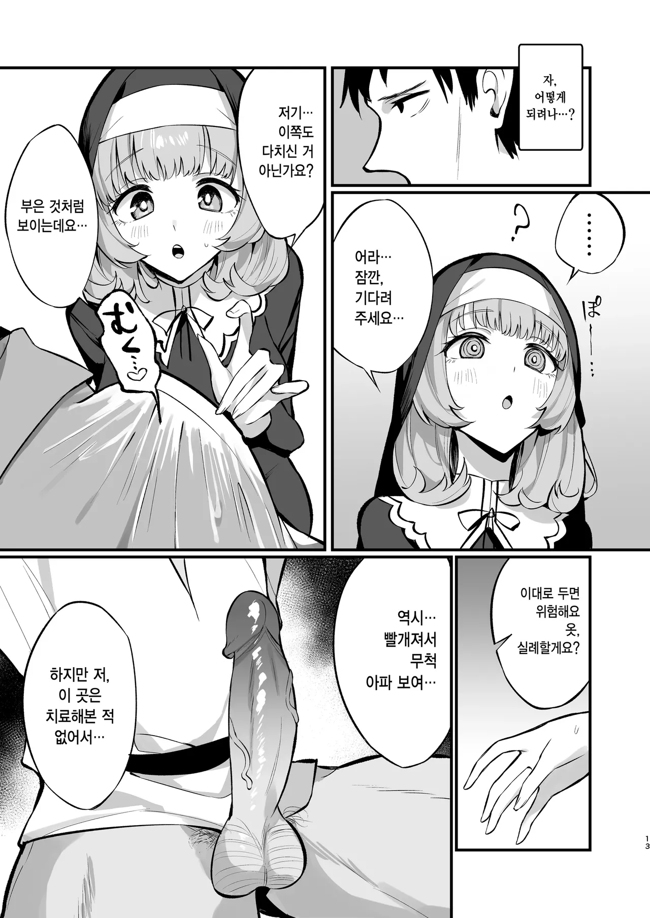 Sister Kanzen Haiboku. ~Muchi na Sister ga honnou de Hatsujo Koubi Surumade~ page 12 full