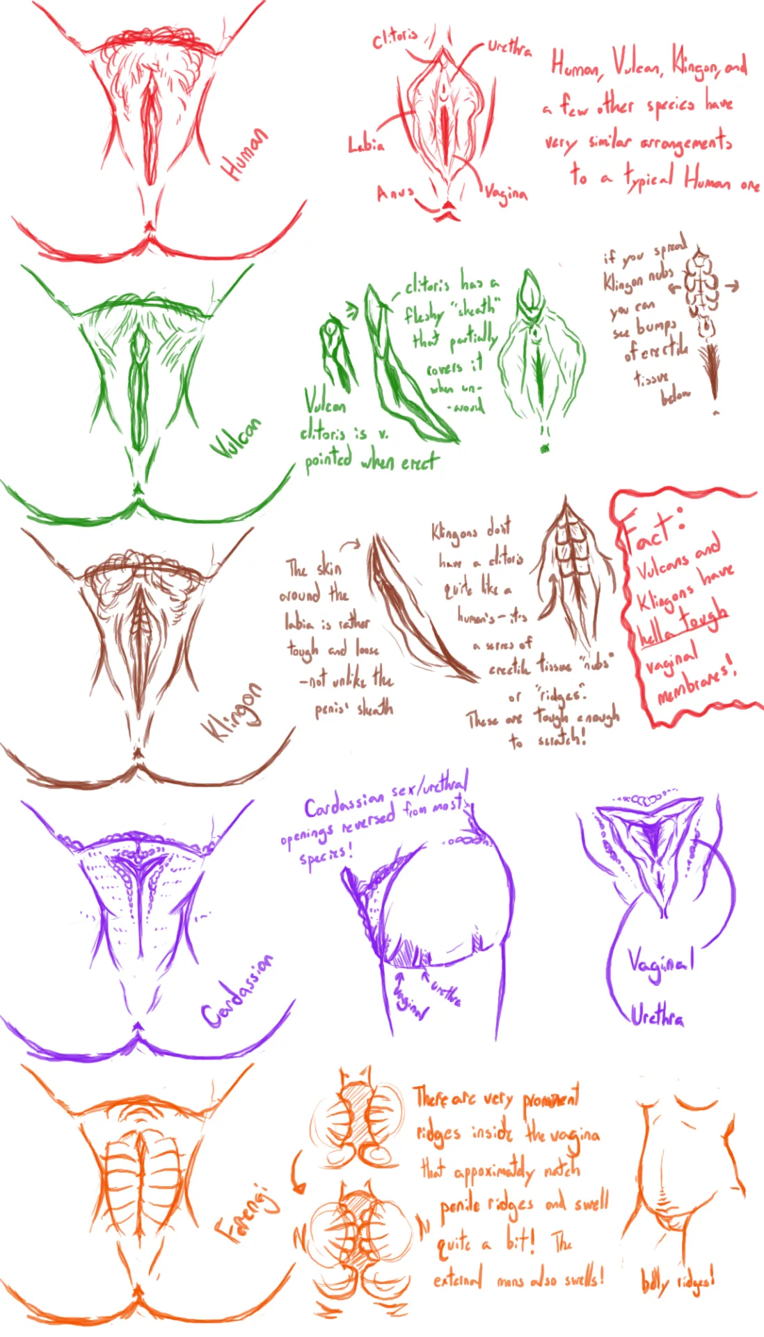 Alien genitalia page 1 full
