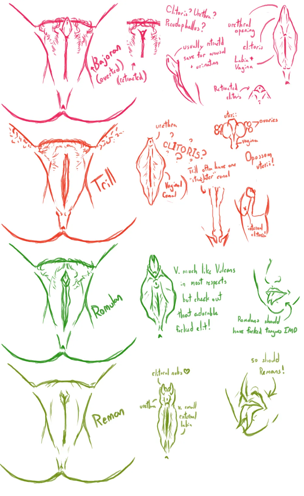 Alien genitalia page 2 full