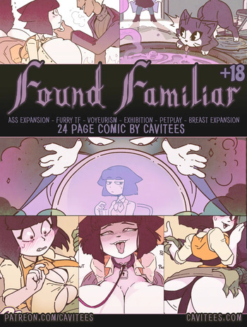 Found Familiar cover