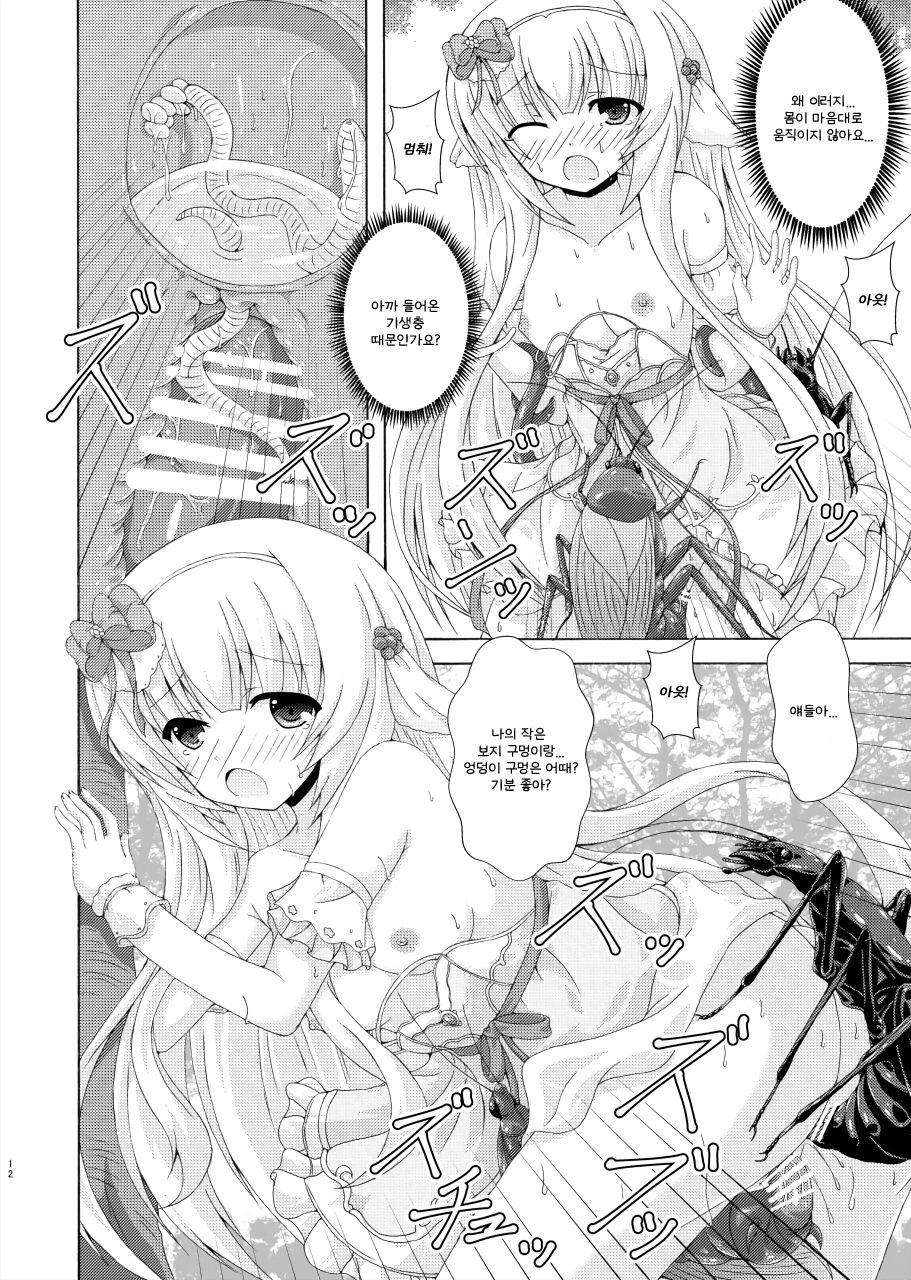 Gaityuu Tsudou Hana no Seijo-tachi | 해충들이 모이는 꽃의 성녀들 page 11 full