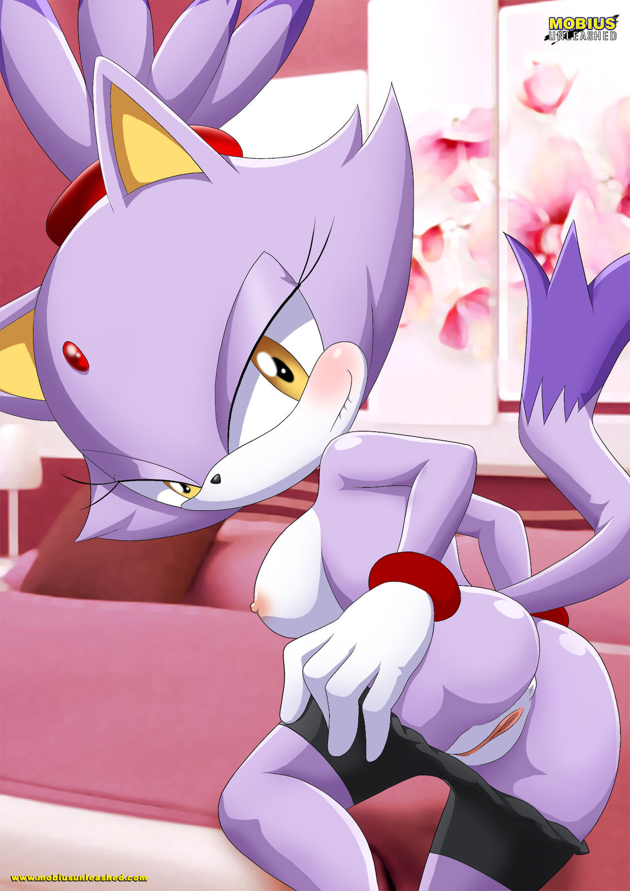 Mobius Unleashed: Blaze the Cat page 11 full