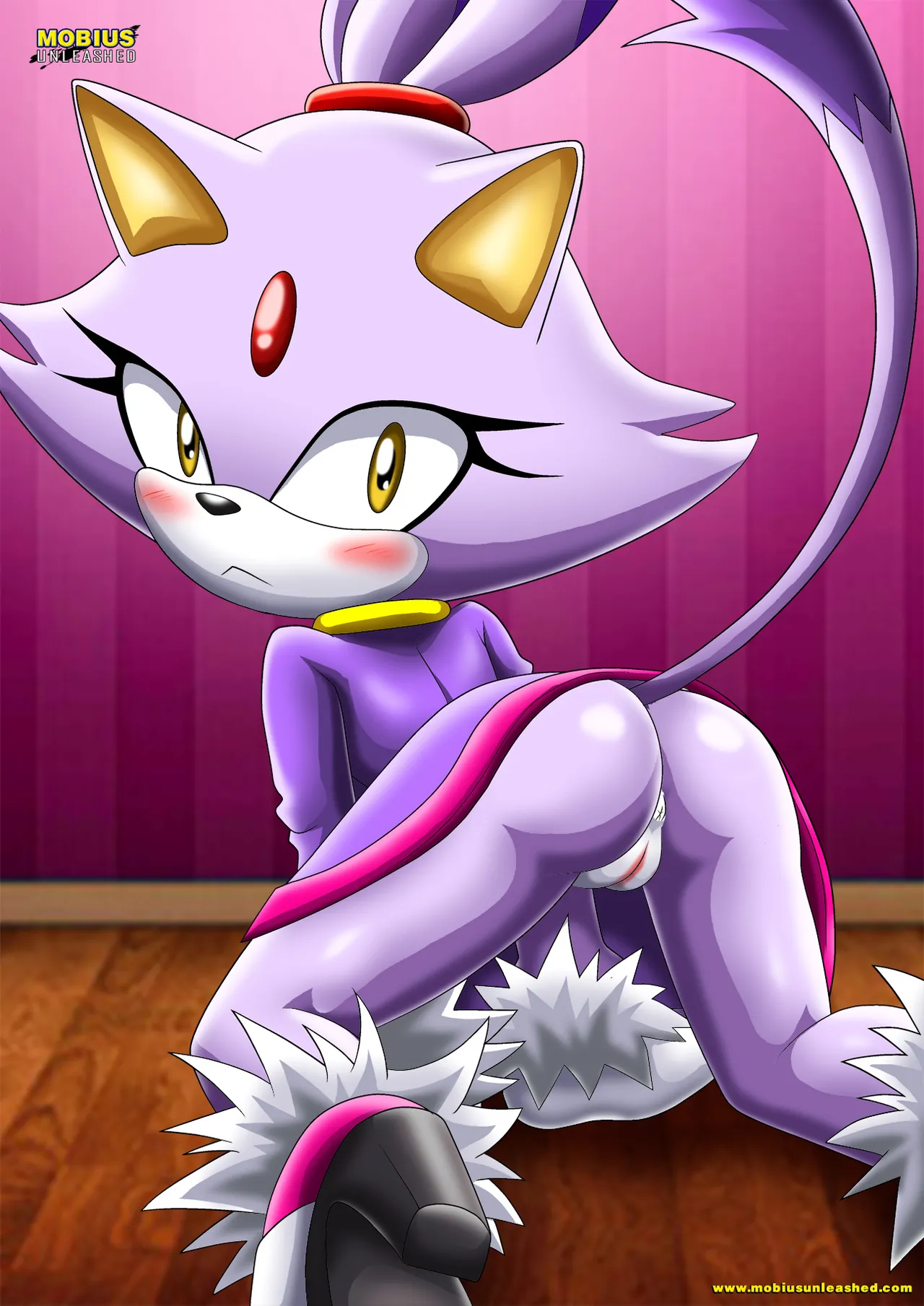 Mobius Unleashed: Blaze the Cat page 2 full