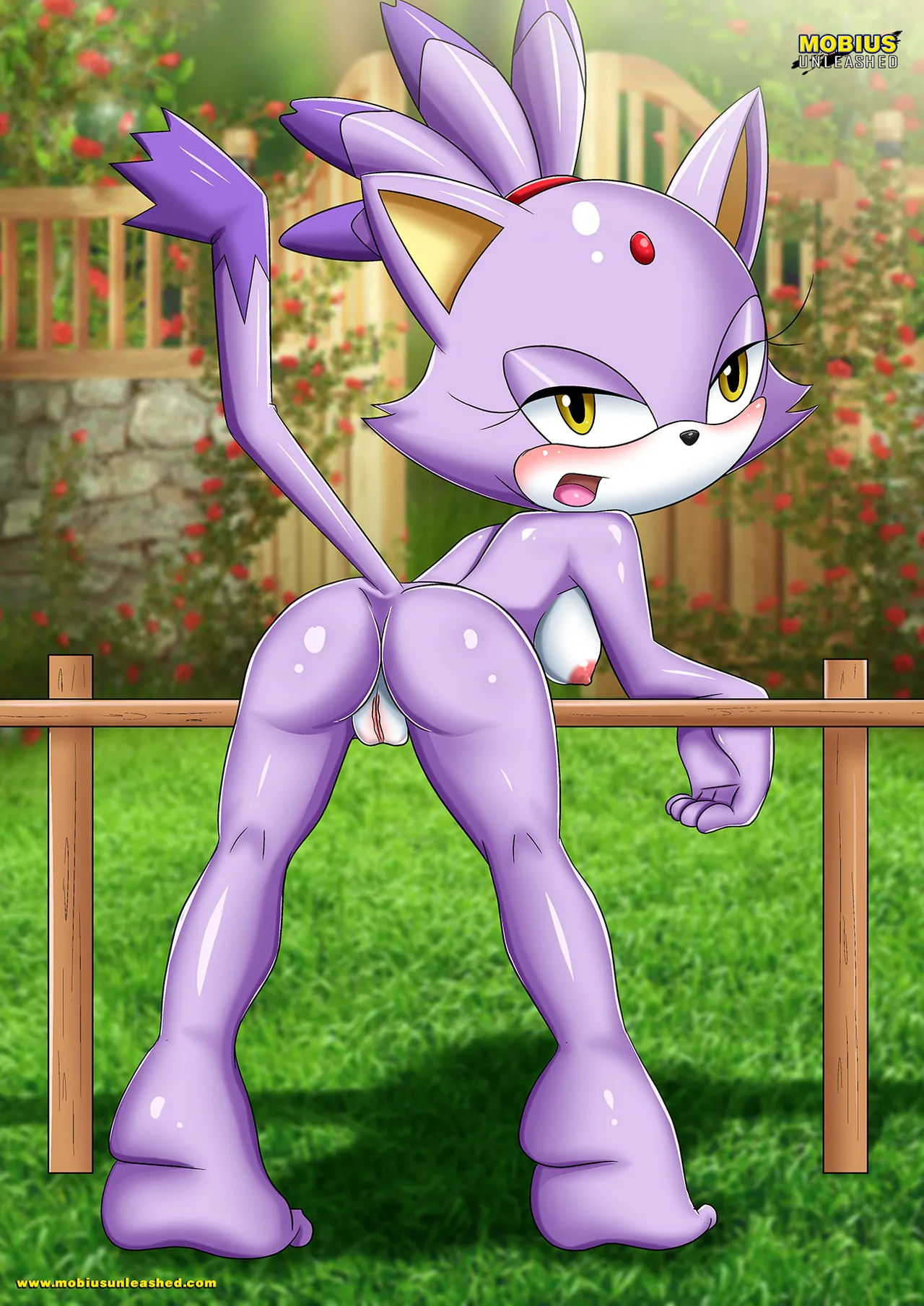 Mobius Unleashed: Blaze the Cat page 6 full
