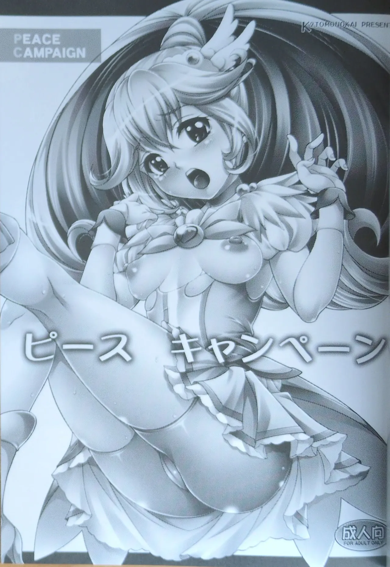 PEACE CAMPAIGN page 2 full