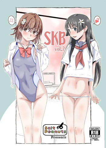 [Salt Peanuts (Niea)] SKB vol. 2 (Toaru Kagaku no Railgun) [Korean] [Digital] cover