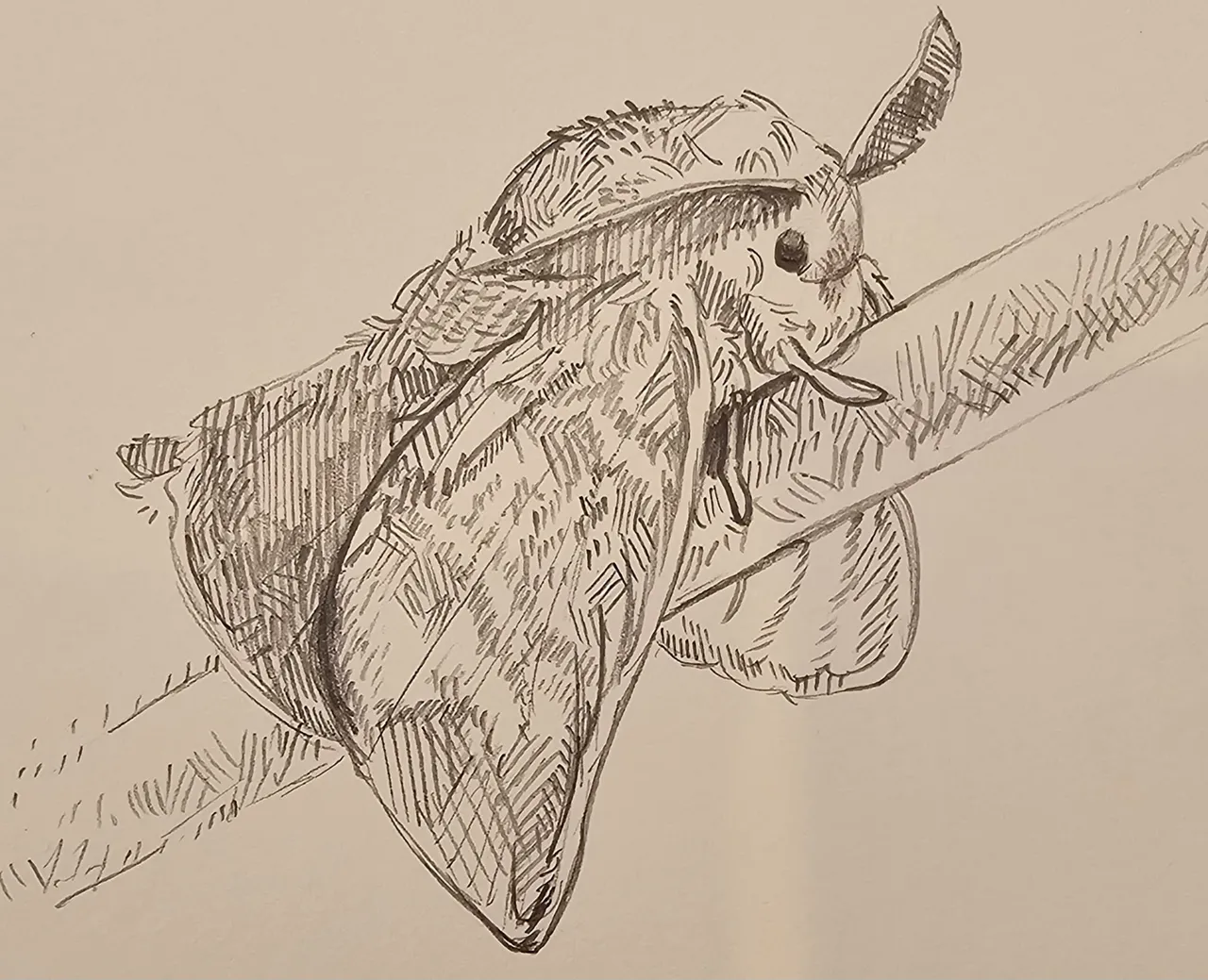 Artist - AlamanderArts page 8 full