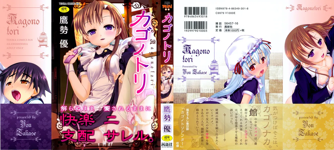 Kago no Tori page 3 full