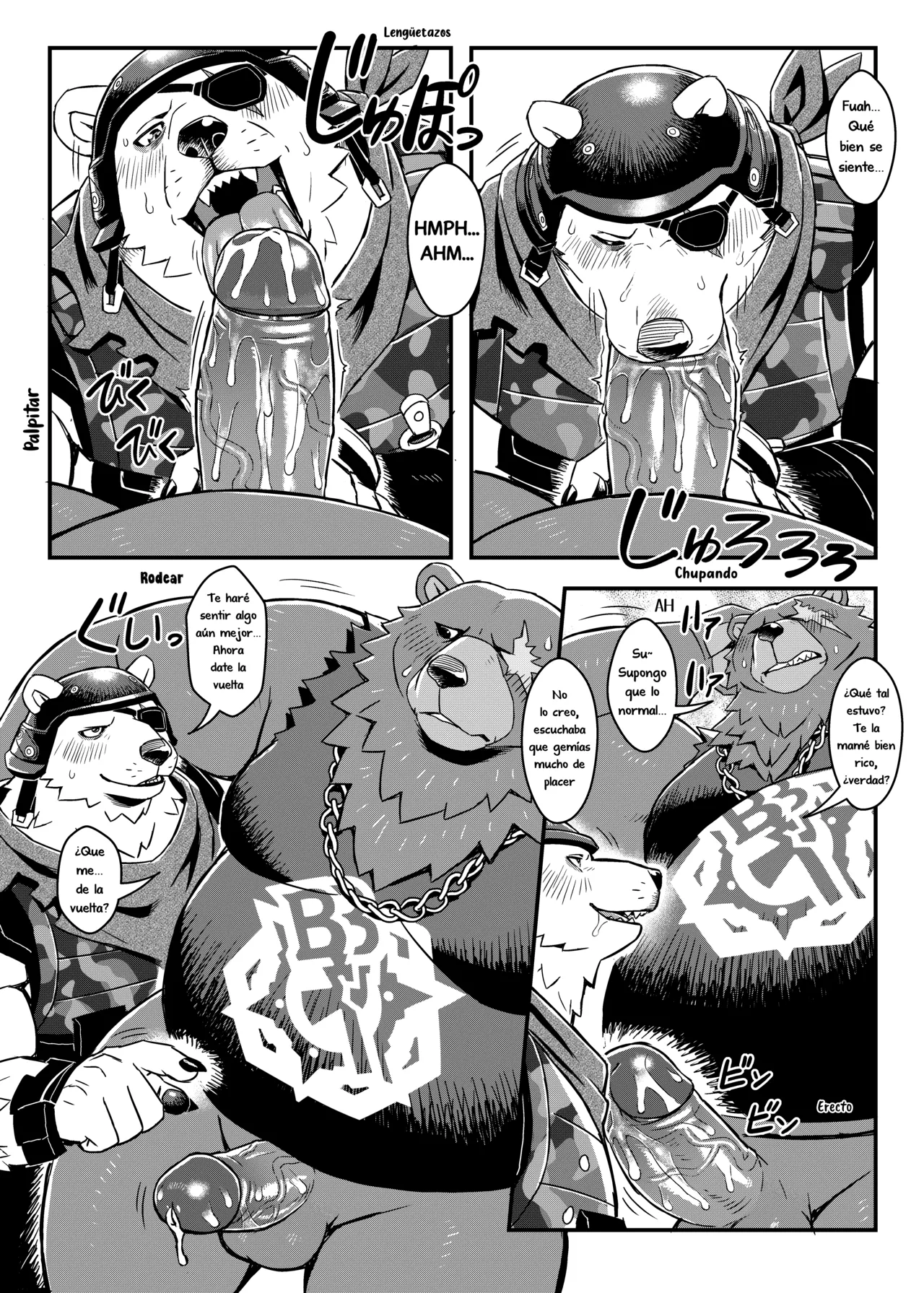 B. F. B page 12 full