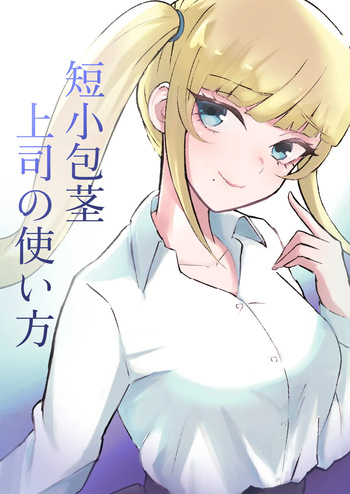 [Roki] Tanshou Houkei Joushi no Tsukaikata cover