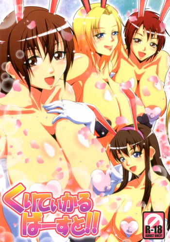 [MEAN MACHINE (Mifune Seijirou)] Critical Burst!! (Dead or Alive) cover