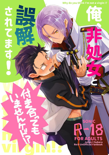 [Sonic (PANA)] Ore, Hishojou to Gokai Saretemasu! (Re:Zero kara Hajimeru Isekai Seikatsu) [Digital] cover