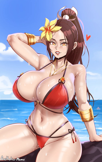 [Aestheticc-Meme] Mai Shiranui cover