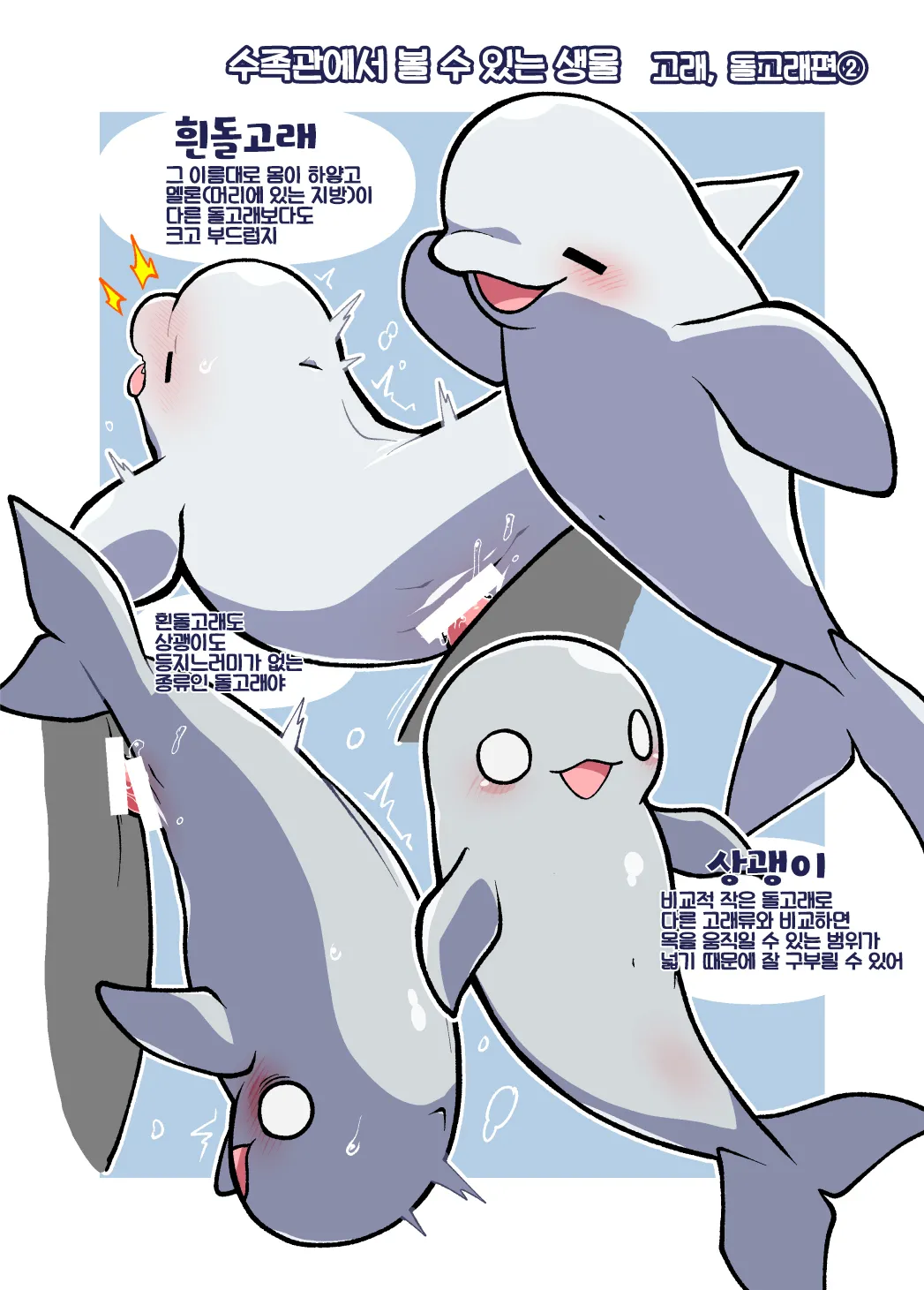 Dokidoki Suizokukan | 두근두근 수족간 page 11 full