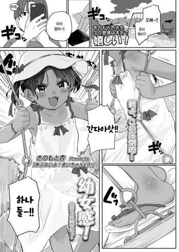 [Kinomoto Anzu] Abunaiyo maichan (9) (COMIC LO 2025-04) [Korean] cover