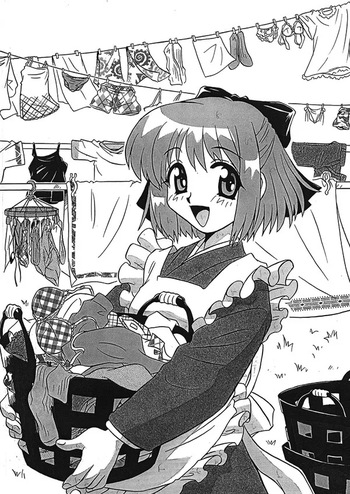 [Uni Laboratory] Kohaku no Sentaku Daisakusen! | Kohaku's Great Laundry Plan! (Tsukihime) [English] [ianuela] cover