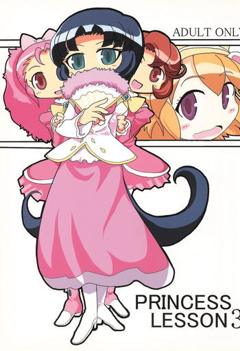 [Oukokudou (Romu)] PRINCESS LESSON 3 (Fushigiboshi no Futago Hime) cover