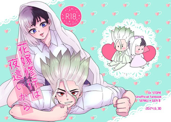 [ toma ] Hanayome shugyō wa yoru ￮ i kara(Dr. STONE) cover