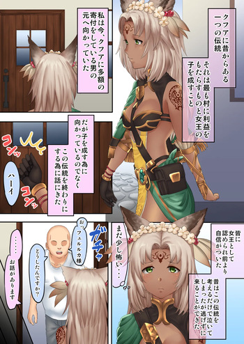 フェルルカHマンガ cover