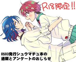 Shuumachu hon tsūhan an'nai to ankēto no onegai