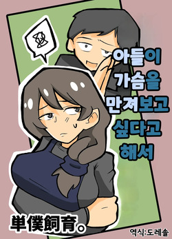 Musuko ga Oppai o Sawatte Mitai to Iu Node | 아들이 가슴을 만져보고 싶다고 해서