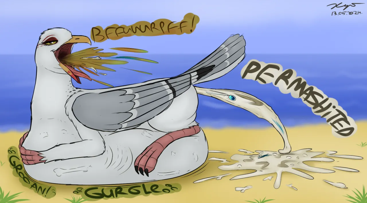 Guano Island for Orcas + Extras page 3 full