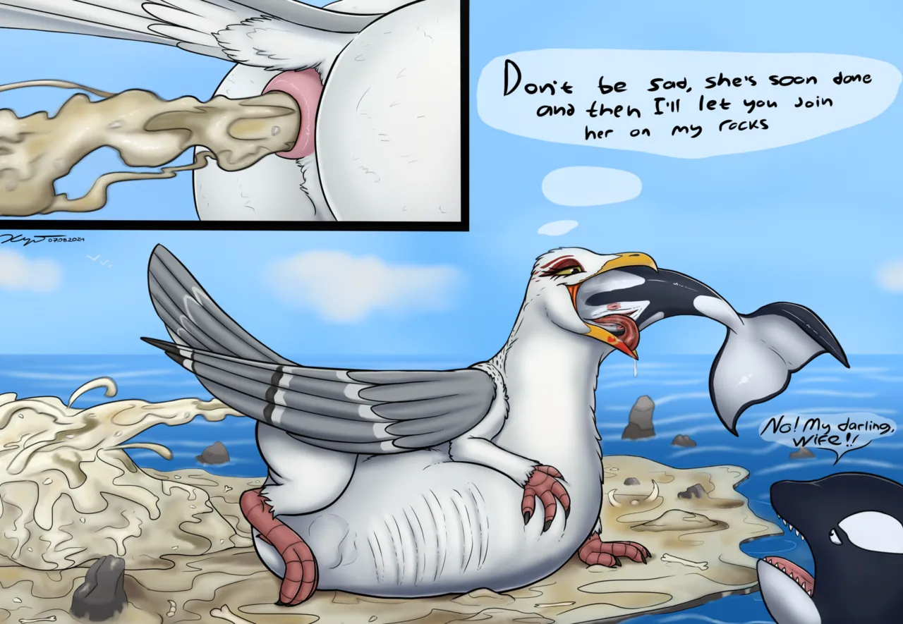 Guano Island for Orcas + Extras page 4 full