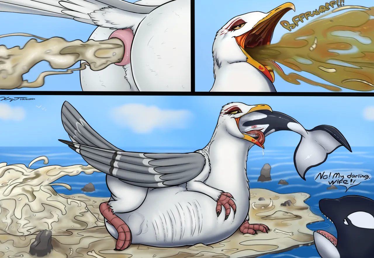 Guano Island for Orcas + Extras page 5 full