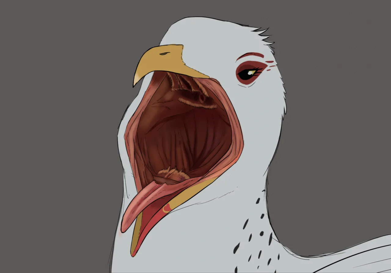 Guano Island for Orcas + Extras page 6 full