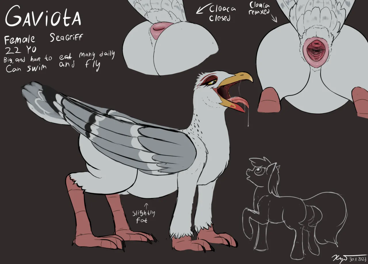 Guano Island for Orcas + Extras page 7 full